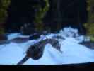 Sea Life Helsinki (6. Juni)