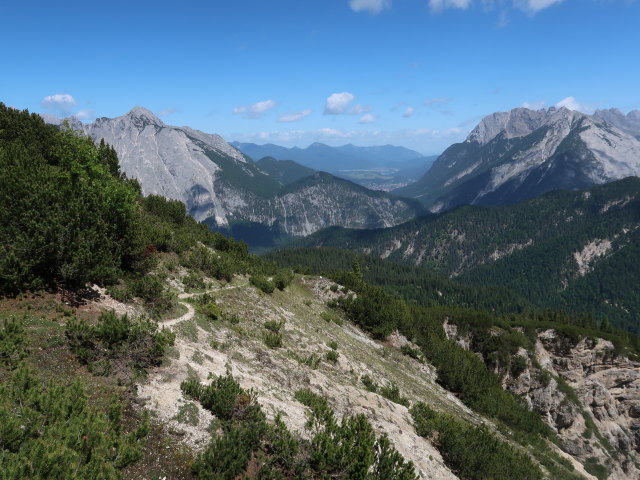 Luchsfalle (13. Juni)