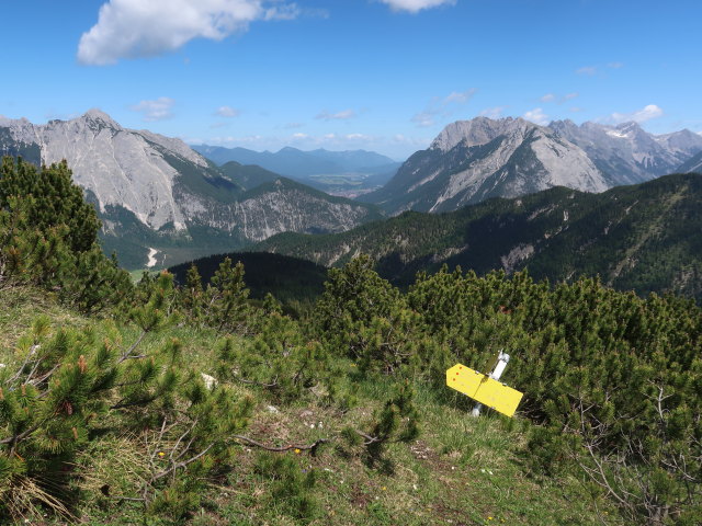 zwischen Luchsfalle und Seefelder Joch (13. Juni)