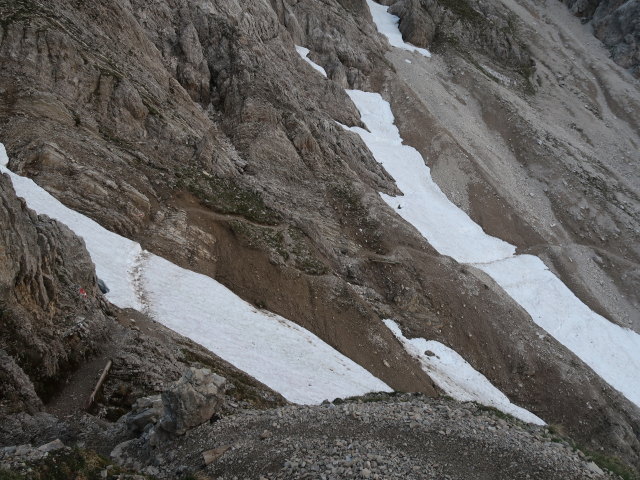 Freiungen-H&ouml;henweg zwischen N&ouml;rdlinger H&uuml;tte und Ursprungsattel (14. Juni)