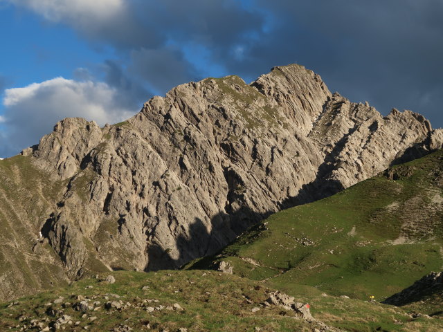 Reither Spitze vom Freiungen-H&ouml;henweg aus (14. Juni)