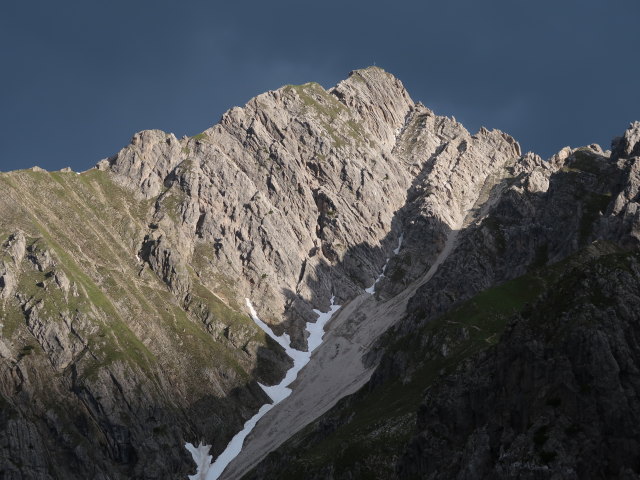 Reither Spitze vom Freiungen-H&ouml;henweg aus (14. Juni)