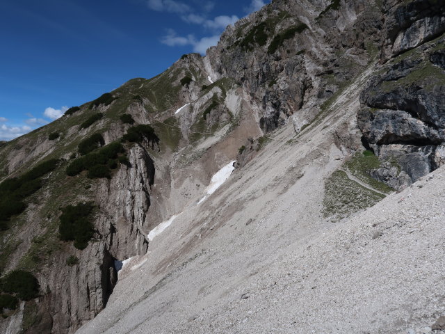 zwischen Freiungen-H&ouml;henweg und H&ouml;llkar (14. Juni)