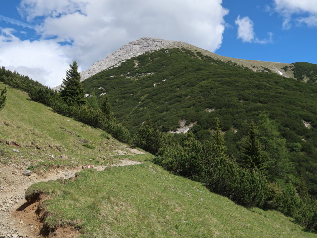 zwischen Solsteinhaus und Ehnbach (14. Juni)