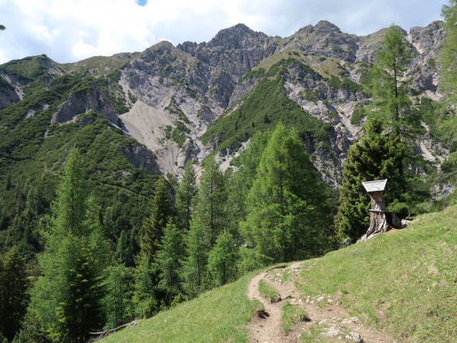 zwischen Solsteinhaus und Ehnbach (14. Juni)