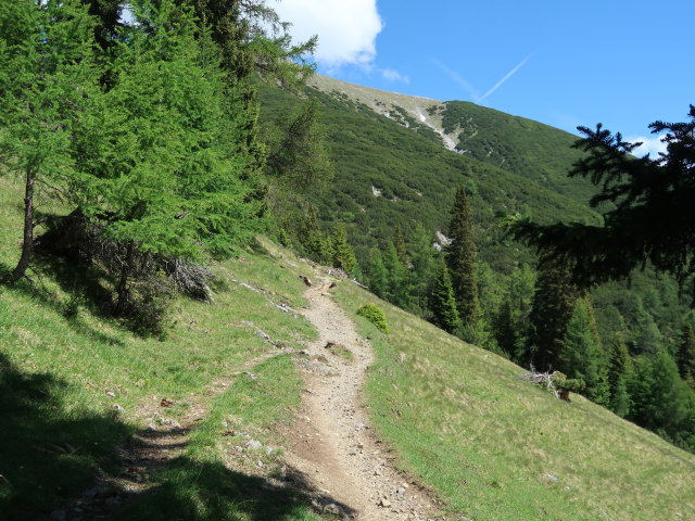 zwischen Solsteinhaus und Ehnbach (14. Juni)