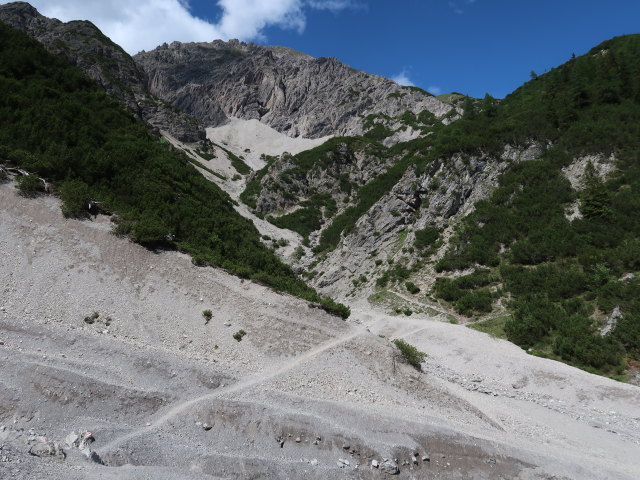 zwischen Ehnbach und Solenalm (14. Juni)