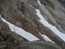 Freiungen-H&ouml;henweg zwischen N&ouml;rdlinger H&uuml;tte und Ursprungsattel (14. Juni)