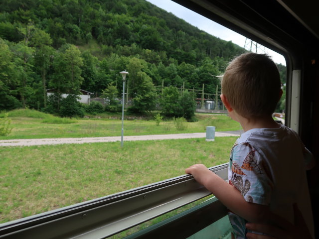 Nils im REX 6541 zwischen Waldegg und Miesenbach-Waidmannsfeld