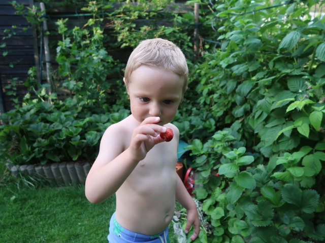 Nils im Garten meiner Eltern