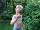 Nils im Garten meiner Eltern