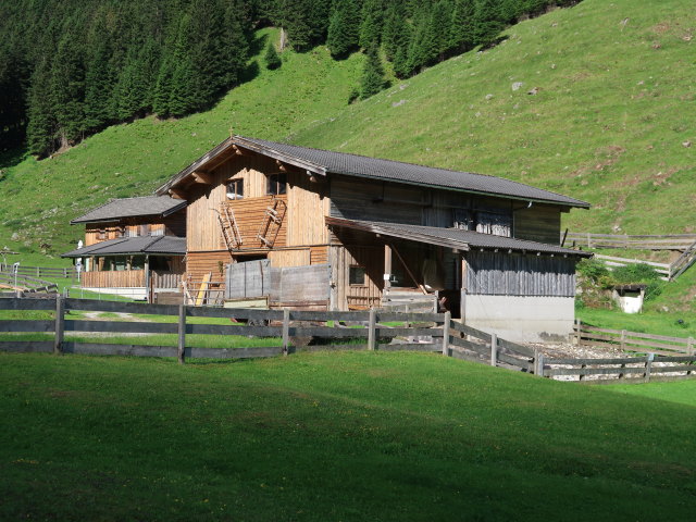Pinnisalm, 1.560 m