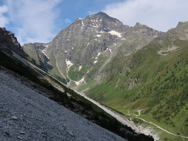 Habicht