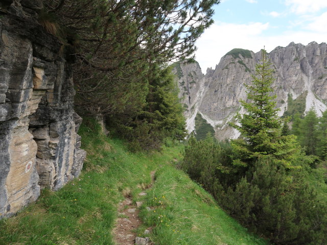 zwischen Padasterjochhaus und Finetzbach