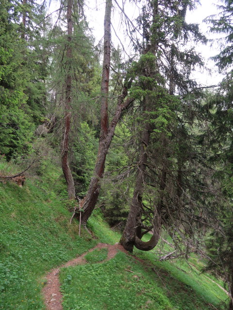 zwischen Padasterjochhaus und Finetzbach