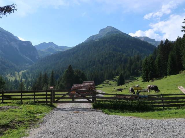 zwischen Finetzbach und Trins