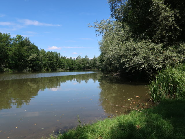 Altarm Aum&uuml;hle in der Kalsdorfer Au