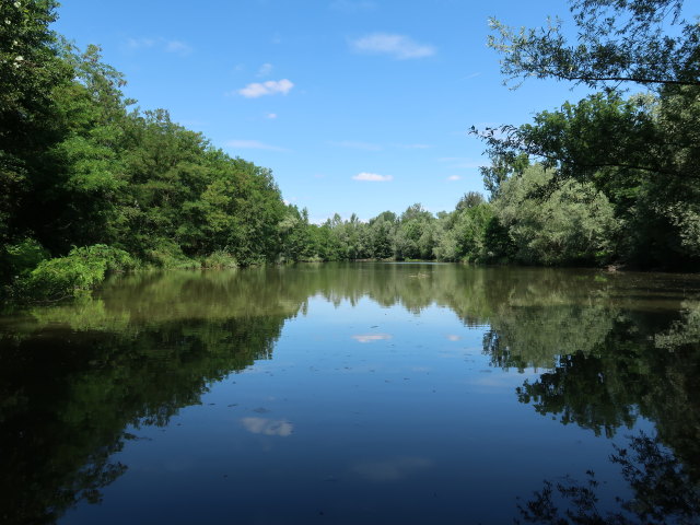 Altarm Aum&uuml;hle in der Kalsdorfer Au
