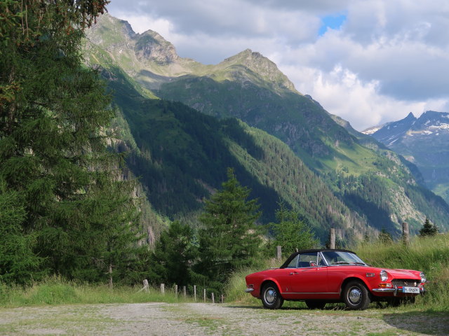 Obere Taxeralm, 1.653 m (4. Juli)