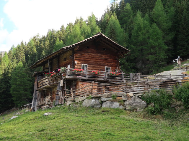 Obere Taxeralm, 1.653 m (4. Juli)