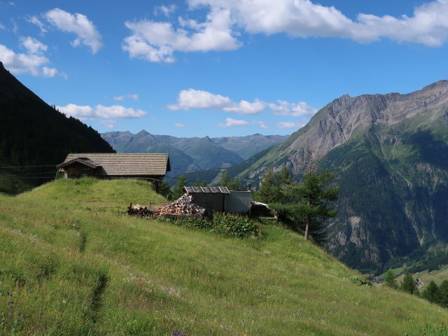 Bergstation der Materialseilbahn Kessleralm (4. Juli)
