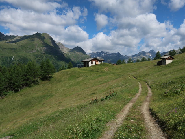 Bergstation der Materialseilbahn Kessleralm (4. Juli)