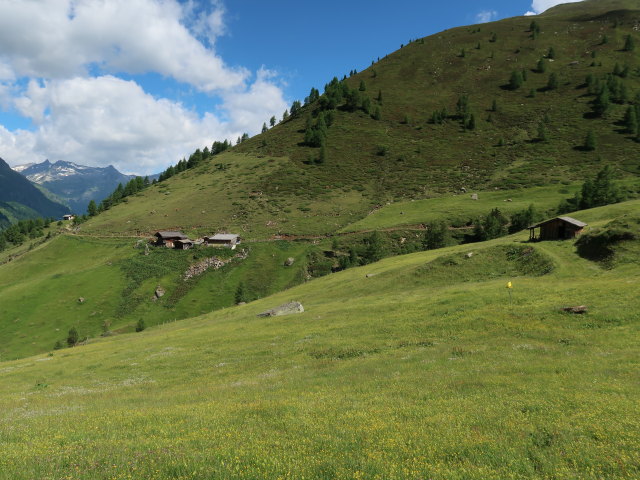 Kessleralm, 1.923 m (4. Juli)