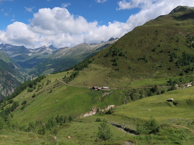 Dr.-Karl-Jirsch-Weg zwischen Petersbach und Nussingscharte (4. Juli)