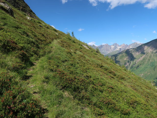 Dr.-Karl-Jirsch-Weg zwischen Petersbach und Nussingscharte (4. Juli)