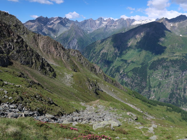 Dr.-Karl-Jirsch-Weg zwischen Petersbach und Nussingscharte (4. Juli)