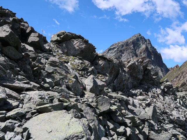 Dr.-Karl-Jirsch-Weg in der Nussingscharte, 2.741 m (4. Juli)