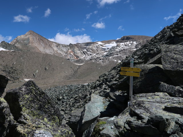Dr.-Karl-Jirsch-Weg in der Nussingscharte, 2.741 m (4. Juli)