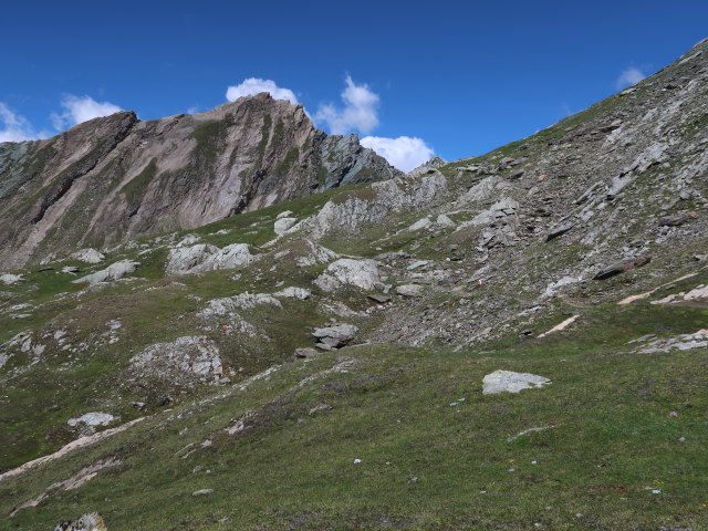 Dr.-Karl-Jirsch-Weg zwischen Nussingscharte und Sudetendeutscher H&uuml;tte (4. Juli)