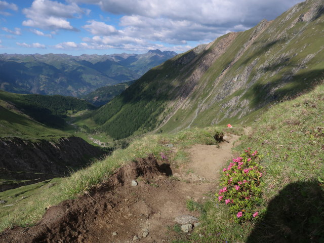 zwischen Sudetendeutscher H&uuml;tte und Schmelzh&uuml;tte (5. Juli)