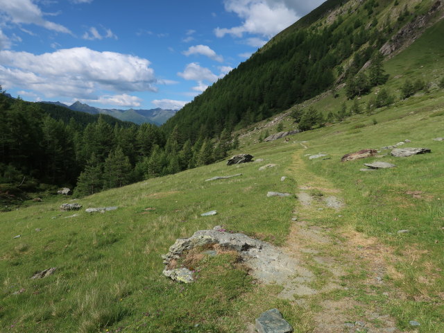 zwischen Schmelzh&uuml;tte und &Auml;u&szlig;erer Steiner Alm (5. Juli)