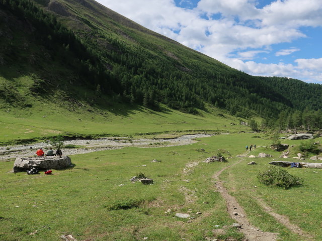 zwischen Schmelzh&uuml;tte und &Auml;u&szlig;erer Steiner Alm (5. Juli)