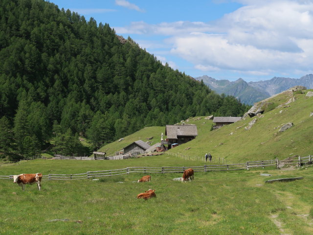 &Auml;u&szlig;ere Steiner Alm, 1.914 m (5. Juli)