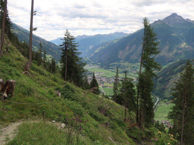 zwischen &Auml;u&szlig;erer Steiner Alm und Stein (5. Juli)