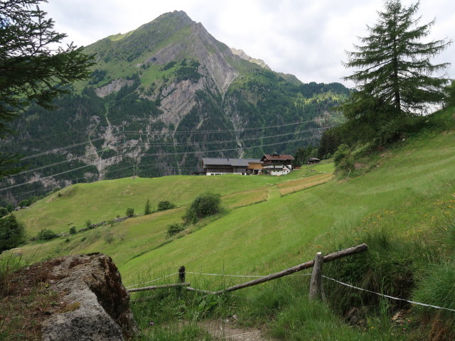 Stein (5. Juli)