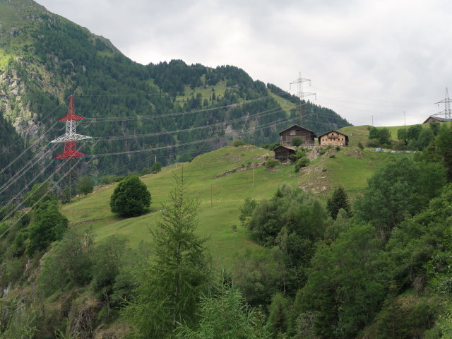 Stein (5. Juli)