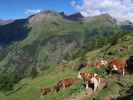 Kessleralm (4. Juli)