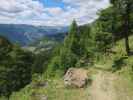 zwischen &Auml;u&szlig;erer Steiner Alm und Stein (5. Juli)