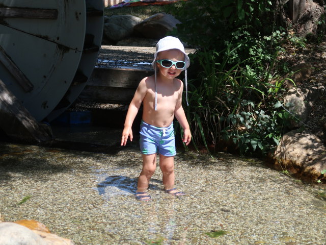 Nils