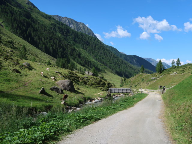 Ahrntal beim Trinkstein (11. Juli)