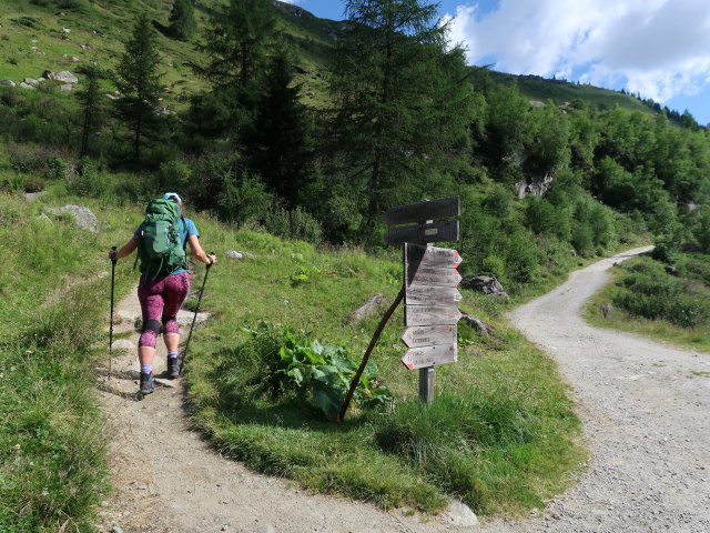 Ursa im Ahrntal zwischen Trinkstein und Unterer Tauernalm (11. Juli)