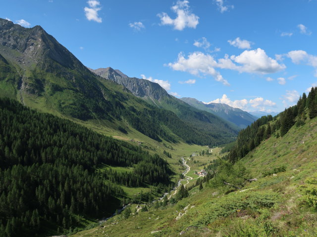 Ahrntal von der Oberen Tauernalm aus (11. Juli)