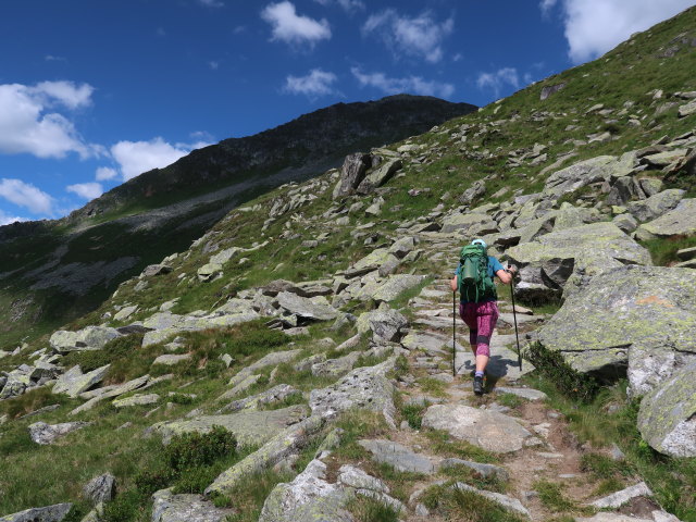 Ursa zwischen Oberer Tauernalm und Krimmler Tauern (11. Juli)