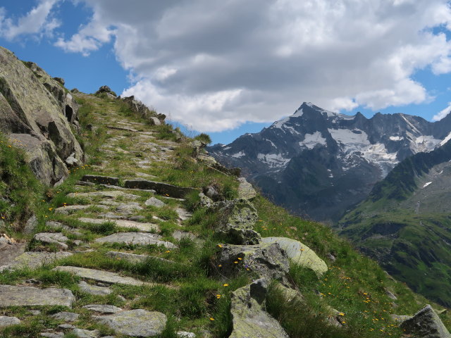 zwischen Oberer Tauernalm und Krimmler Tauern (11. Juli)
