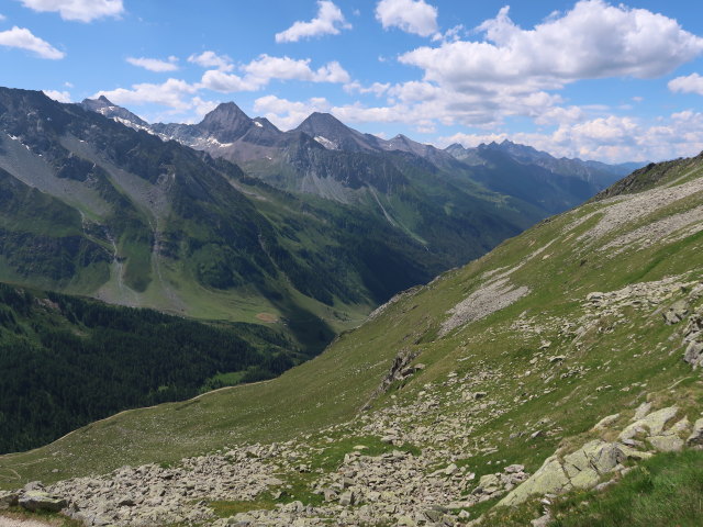 zwischen Oberer Tauernalm und Krimmler Tauern (11. Juli)