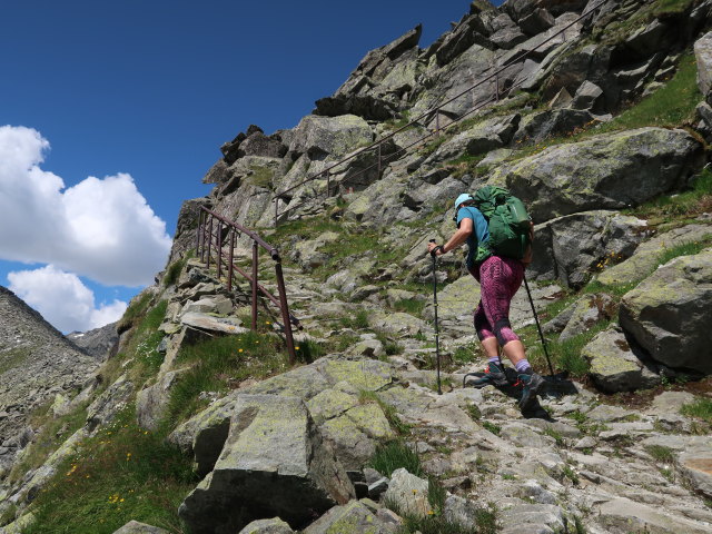 Ursa zwischen Oberer Tauernalm und Krimmler Tauern (11. Juli)